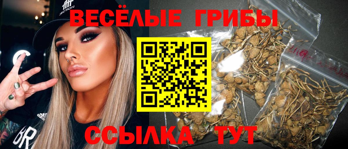Менделеевск  Псилоцибиновые грибы мухоморы  Вход с VPN 