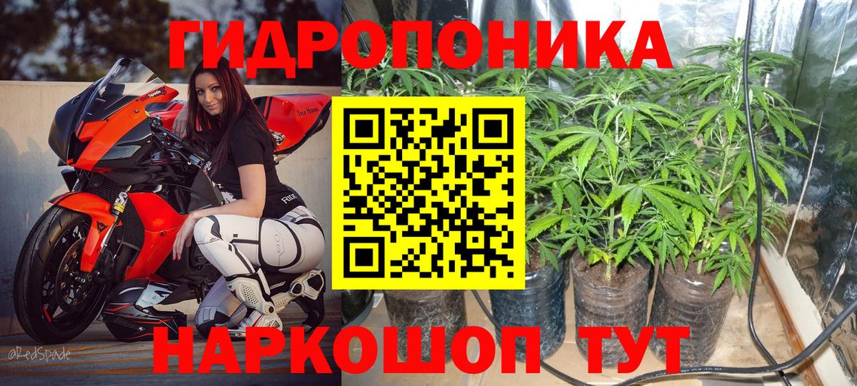 Бошки Шишки план Менделеевск